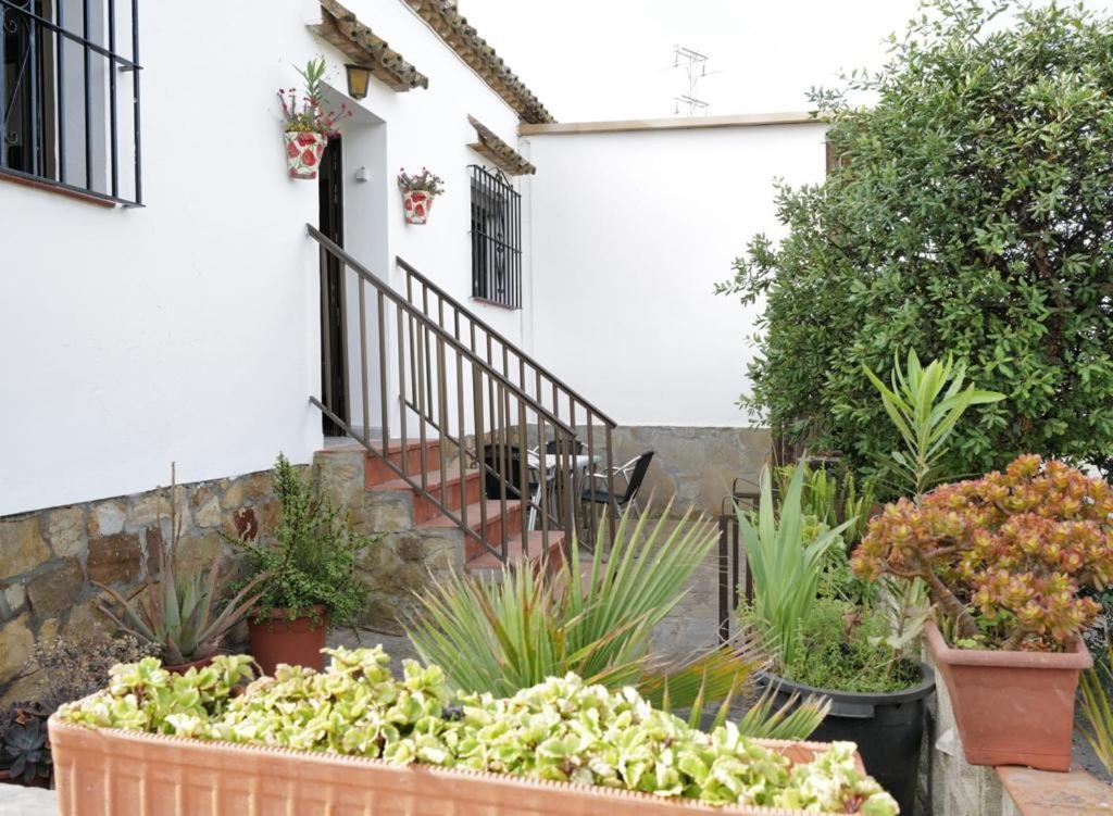 Apartment Casa Juncal *