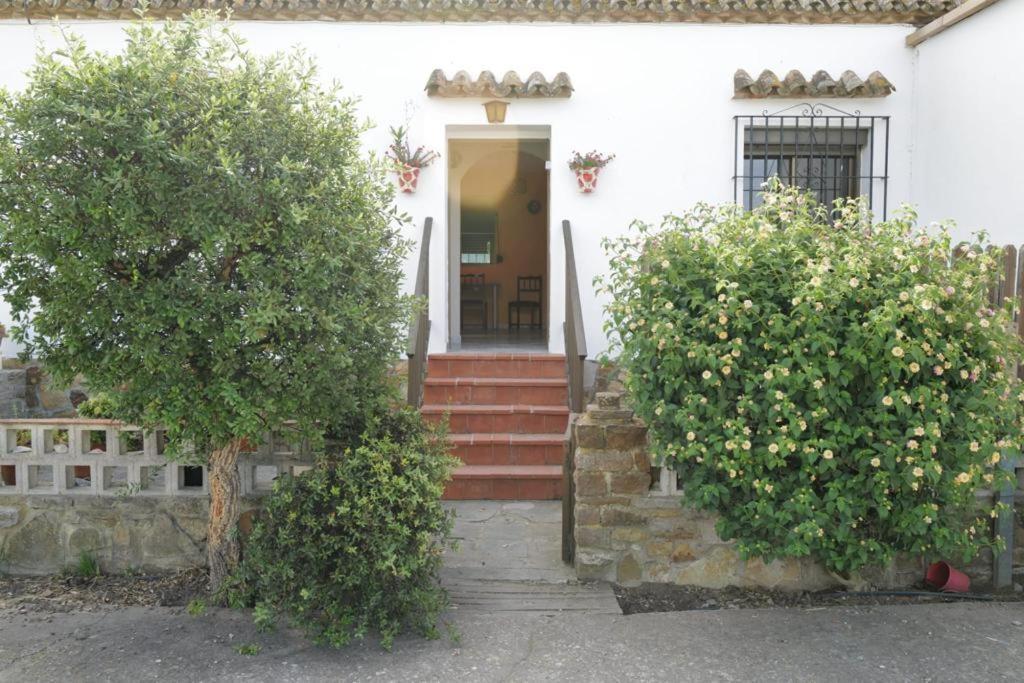 Apartament Casa Juncal
